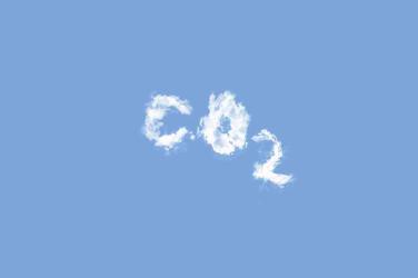 Government- Climate Toolkit 4 Business